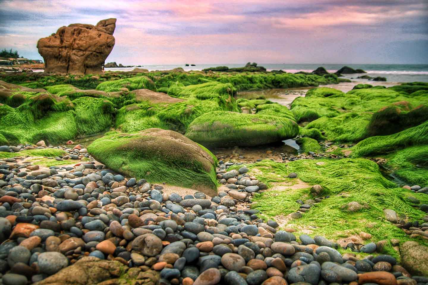 Bãi biển Cổ Thạch còn có tên gọi khác là bãi đá bảy màu. 