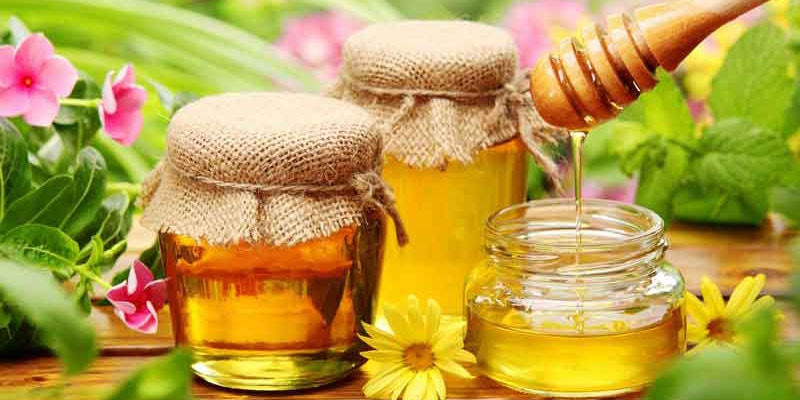 Mật ong hoa cà phê Đắk Lắk sở hữu hương vị thơm ngon và rất bổ dưỡng cho sức khỏe