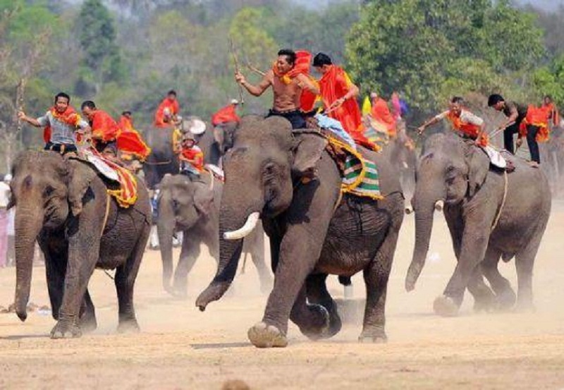 Du lịch tháng 3, du khách sẽ có cơ hội tham gia lễ hội đua voi đặc sắc của vùng đất Tây Nguyên