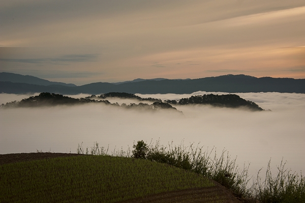 Đến đồi Đa Phú, bạn không chỉ có cơ hội săn mây mà còn được cảm nhận không khí trong lành 