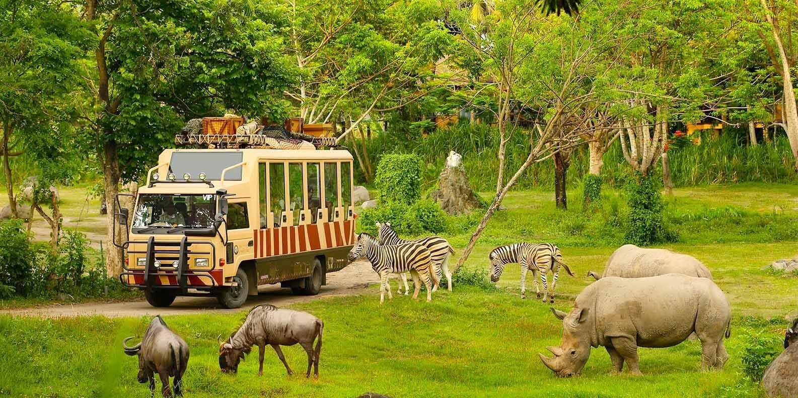 Thuê xe du lịch tham quan phía Bắc đảo kết hợp vui chơi Vin Wonders và Vinpearl Safari