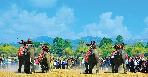 Hội đua voi là một trong những sự kiện lớn được tổ chức hằng năm